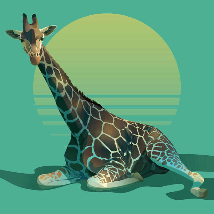 Giraffe Illustration - Illustrator