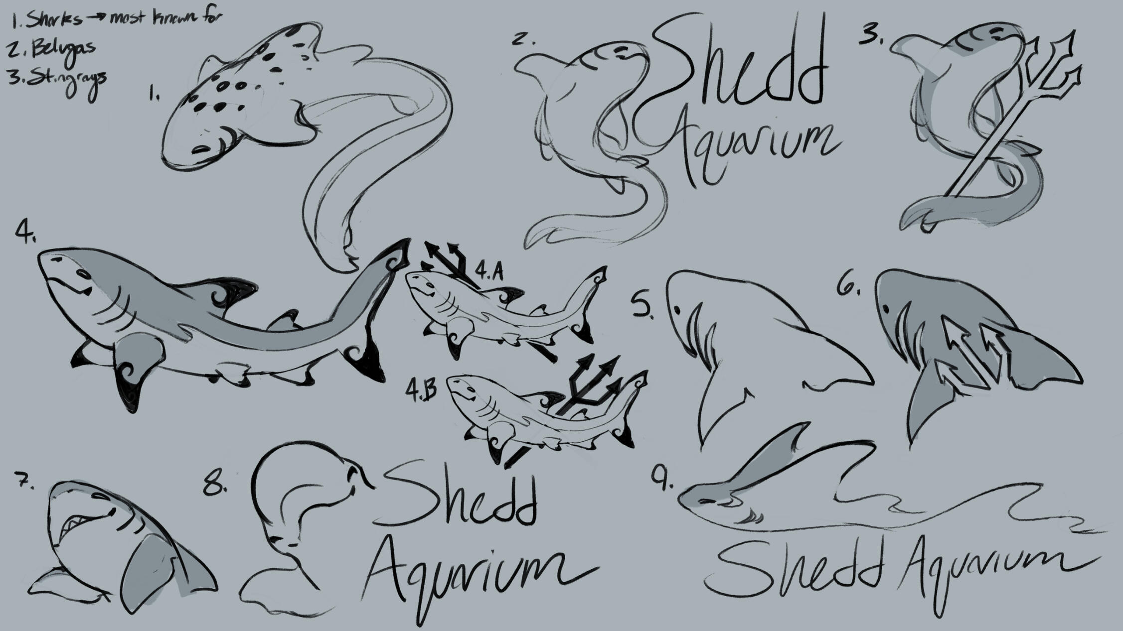 Faux Shedd Aquarium Logo Resign Thumbnails