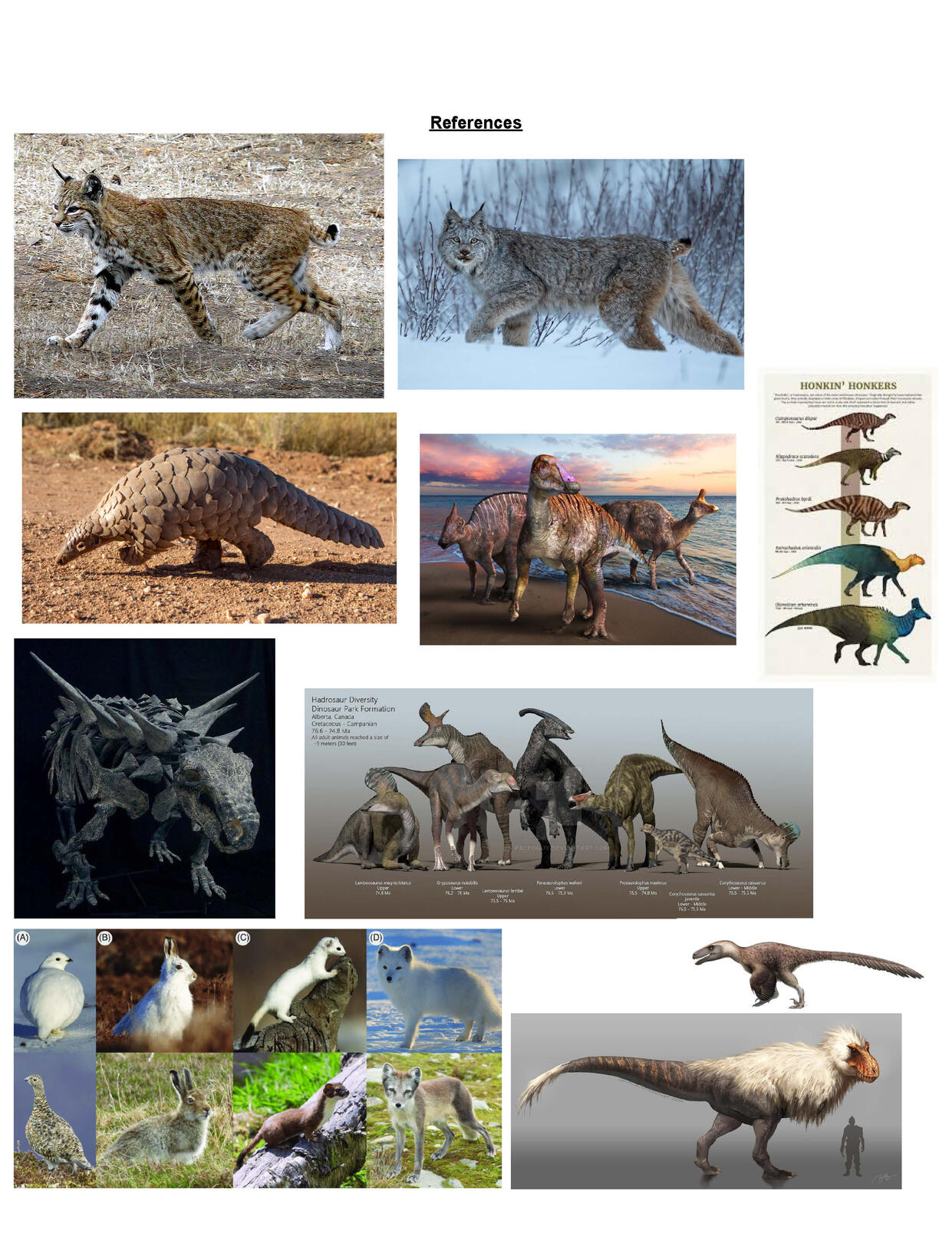 Creature Creative Brief PG 2