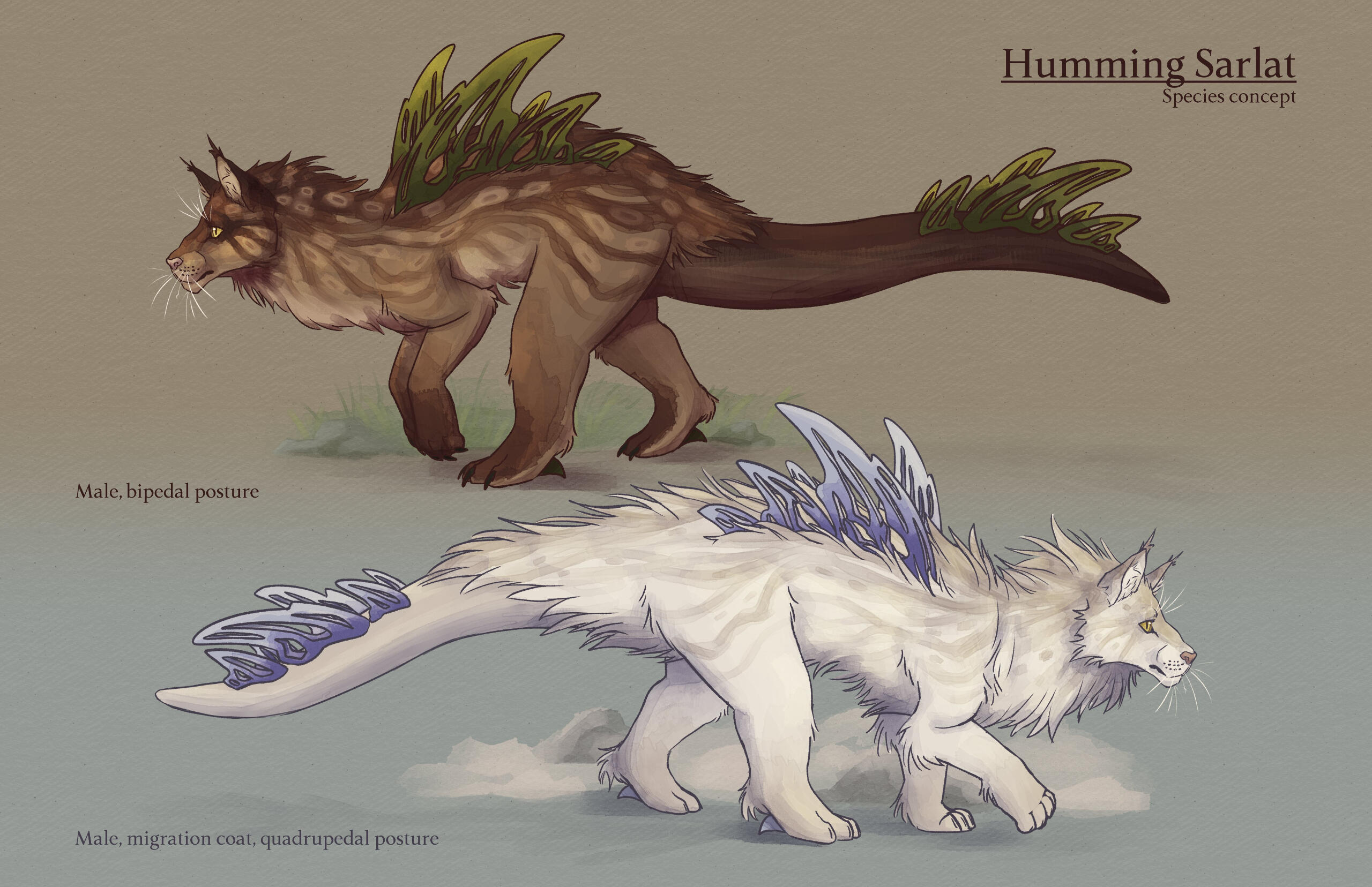 Creature Concept